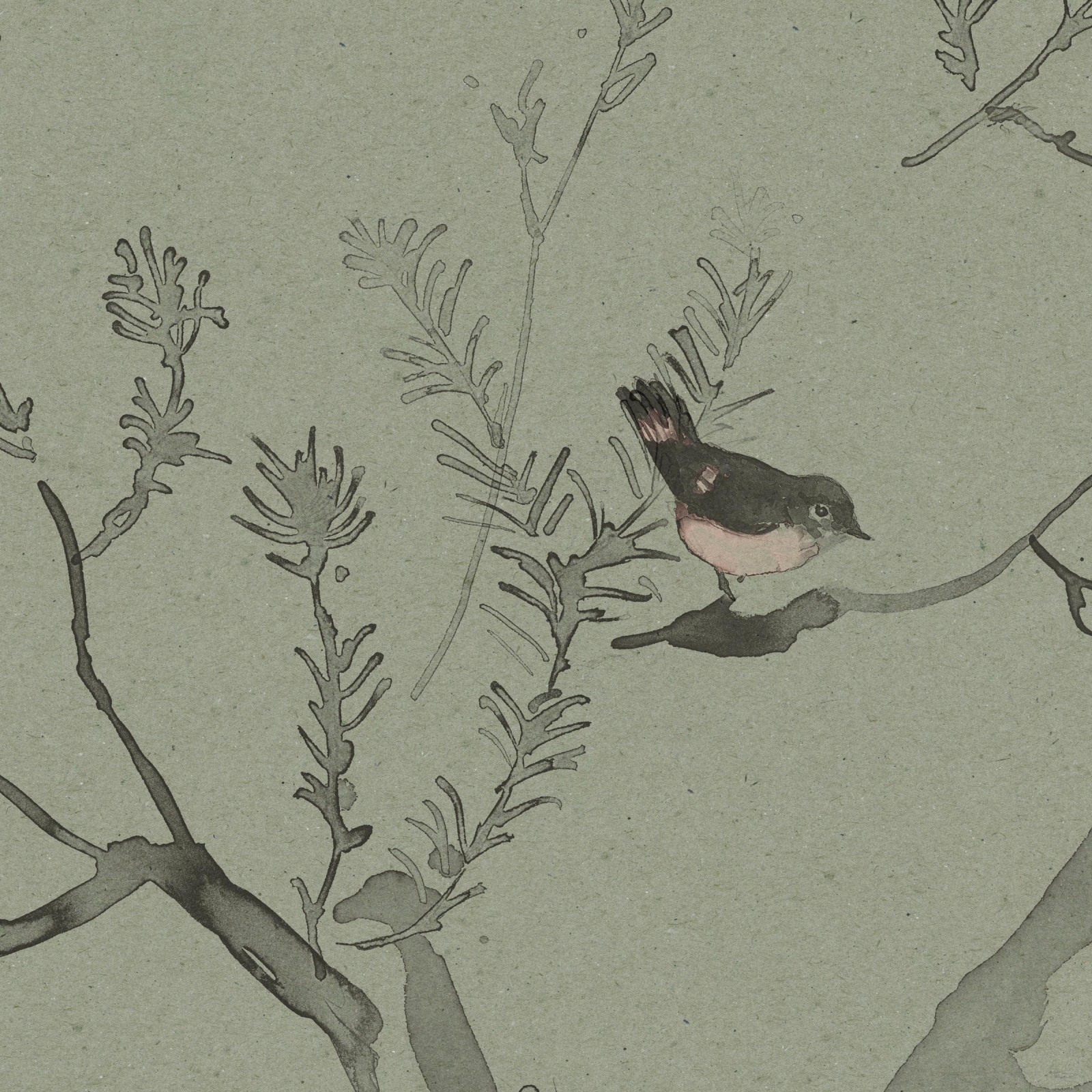 HEATH BANKSIA in Tea Green