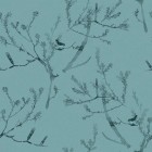 HEATH BANKSIA in Robin's Egg