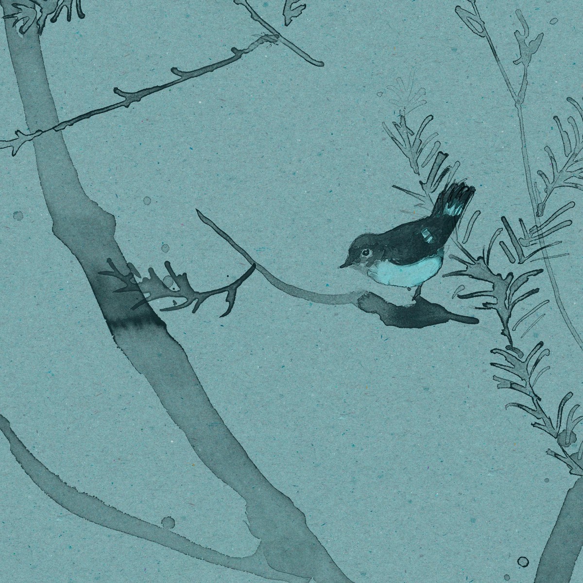 HEATH BANKSIA in Robin's Egg