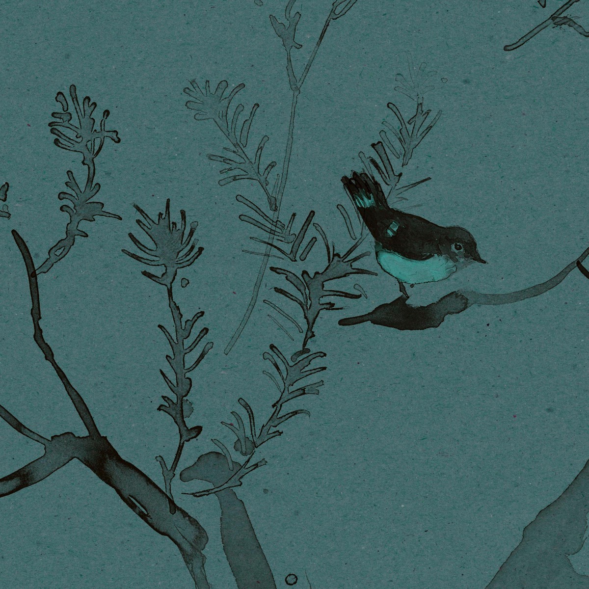 HEATH BANKSIA in Cadet Blue