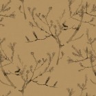 HEATH BANKSIA in Tawny