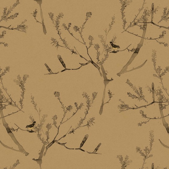 HEATH BANKSIA in Tawny