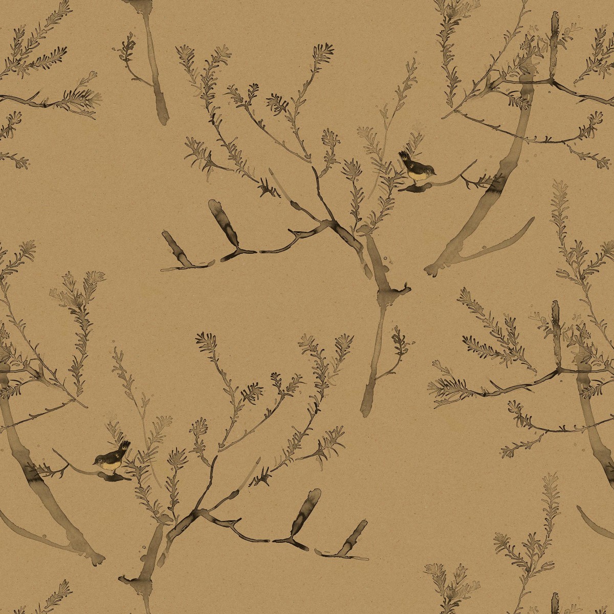 HEATH BANKSIA in Tawny