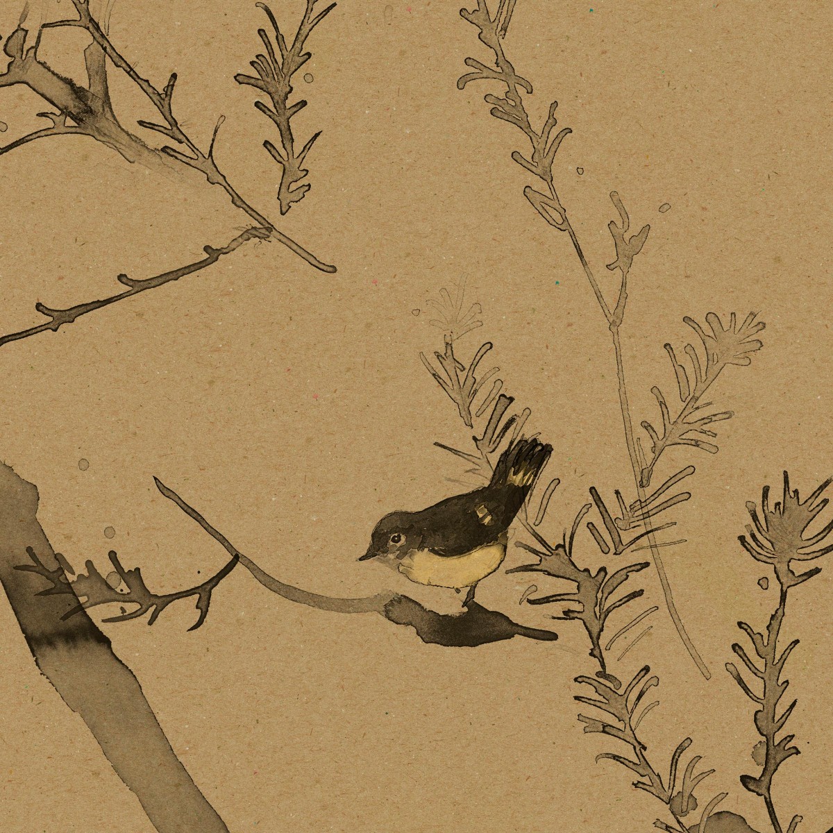 HEATH BANKSIA in Tawny