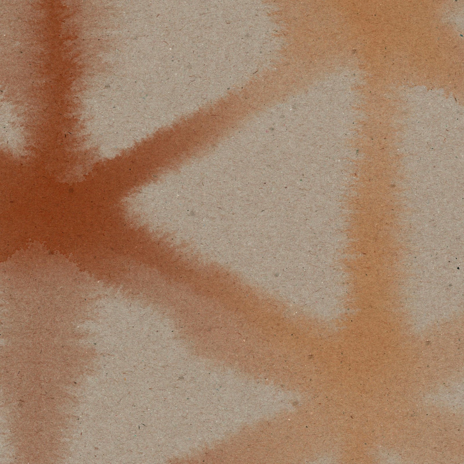 MORPH in Sienna