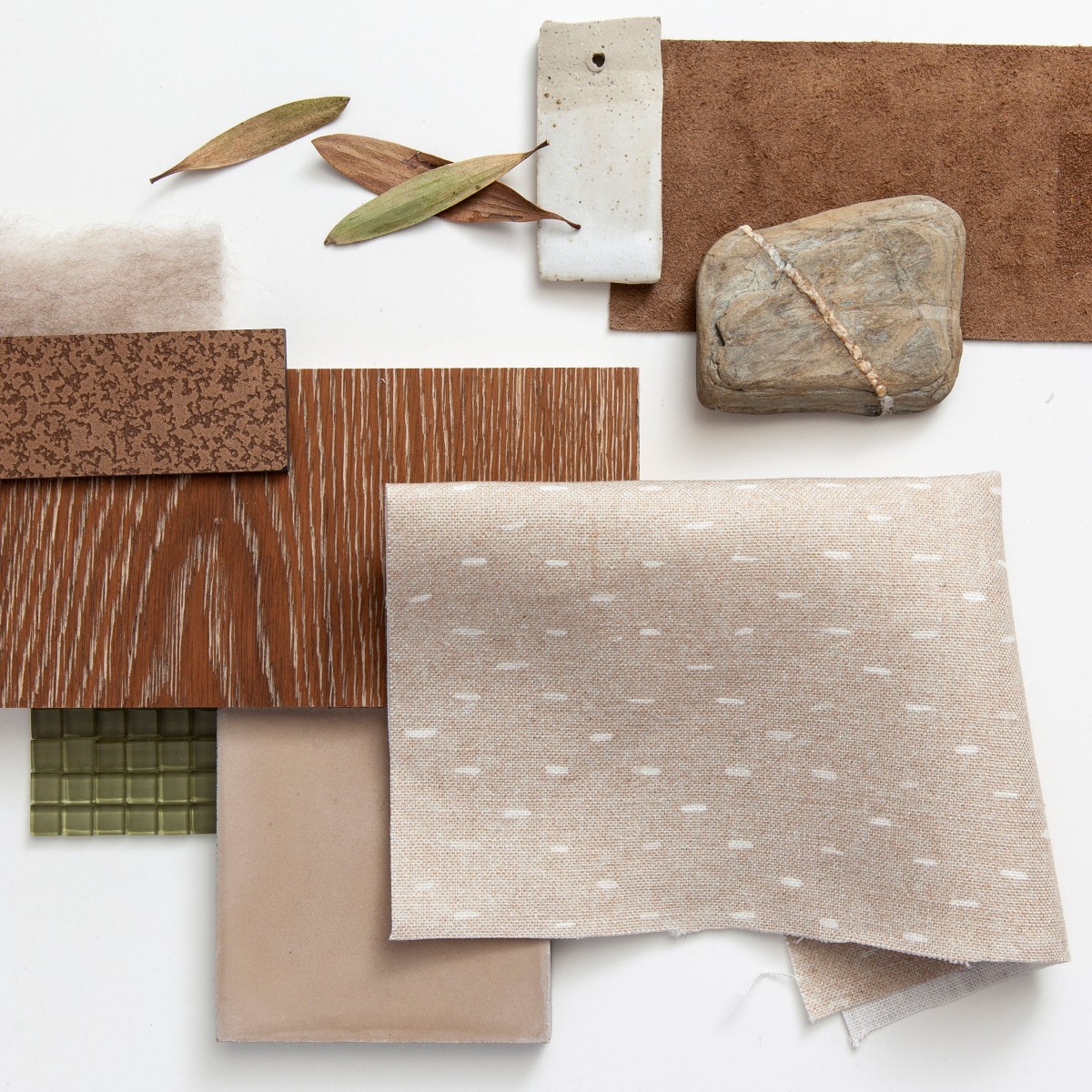 DOBBY in Cottongrass