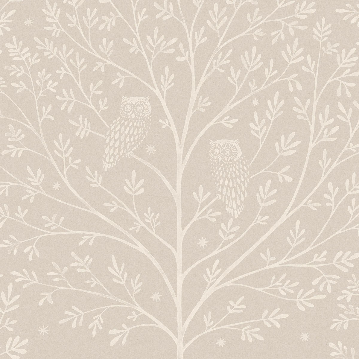 NIGHT OWLS in Nimbus