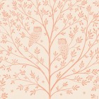 NIGHT OWLS in Amberlight