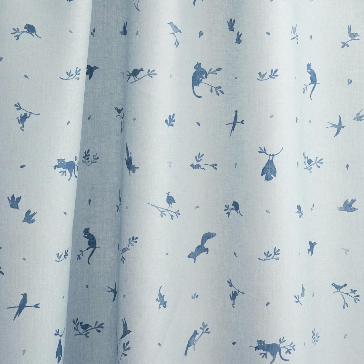 TREE DWELLERS in Blue Yonder