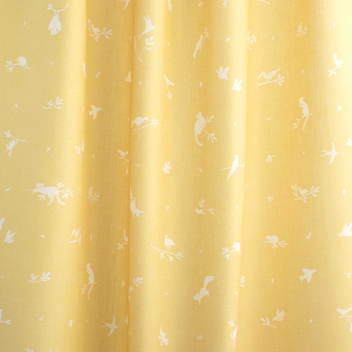 TREE DWELLERS in Celandine