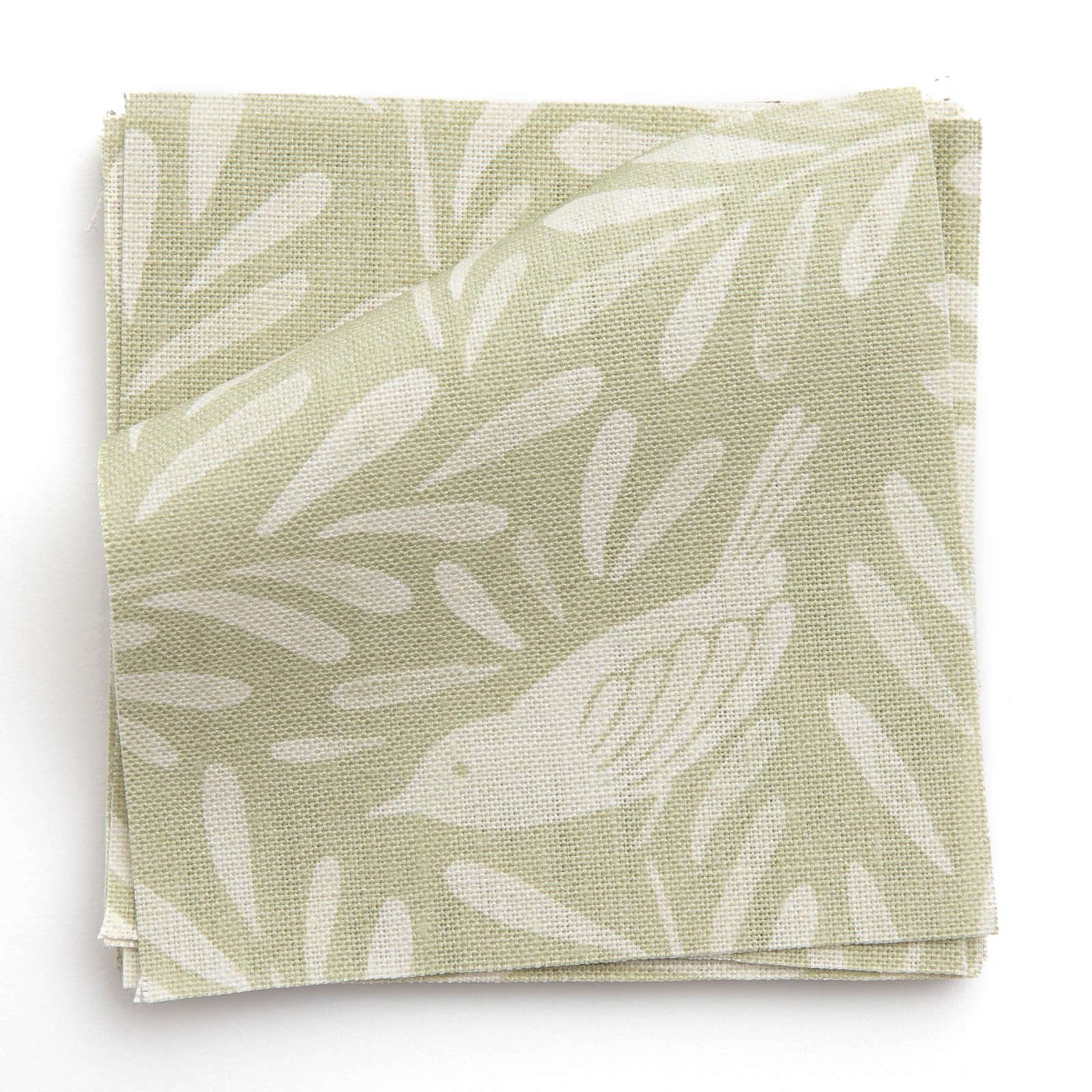 SONGBIRDS in Willow