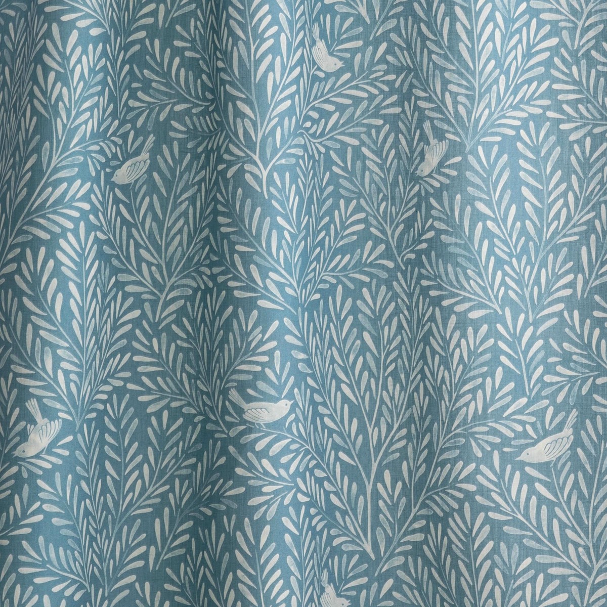 SONGBIRDS in Kolkata