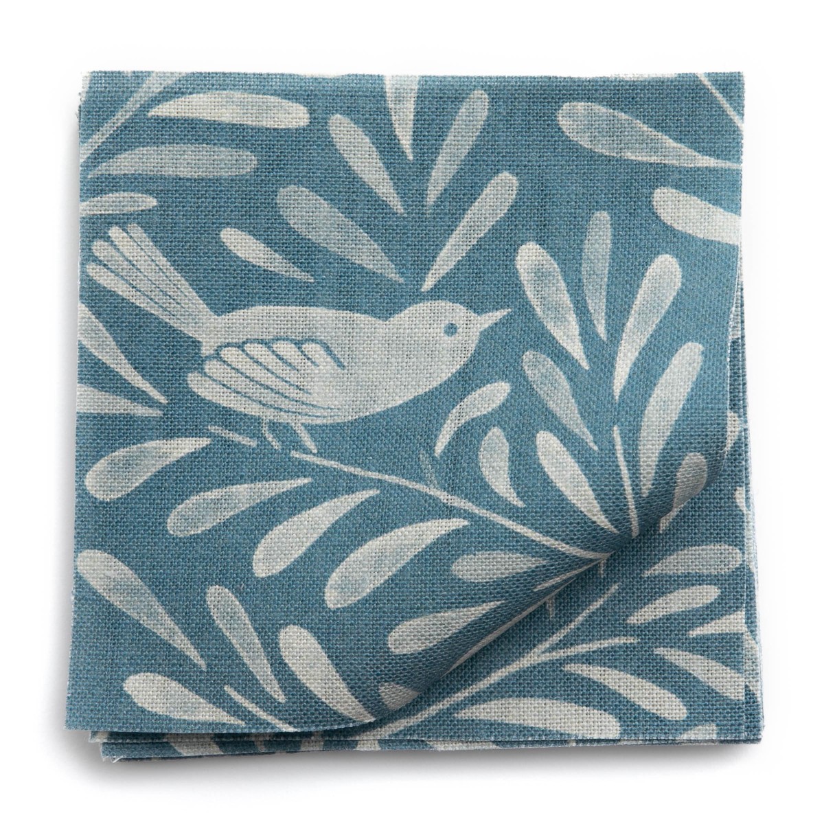 SONGBIRDS in Kolkata