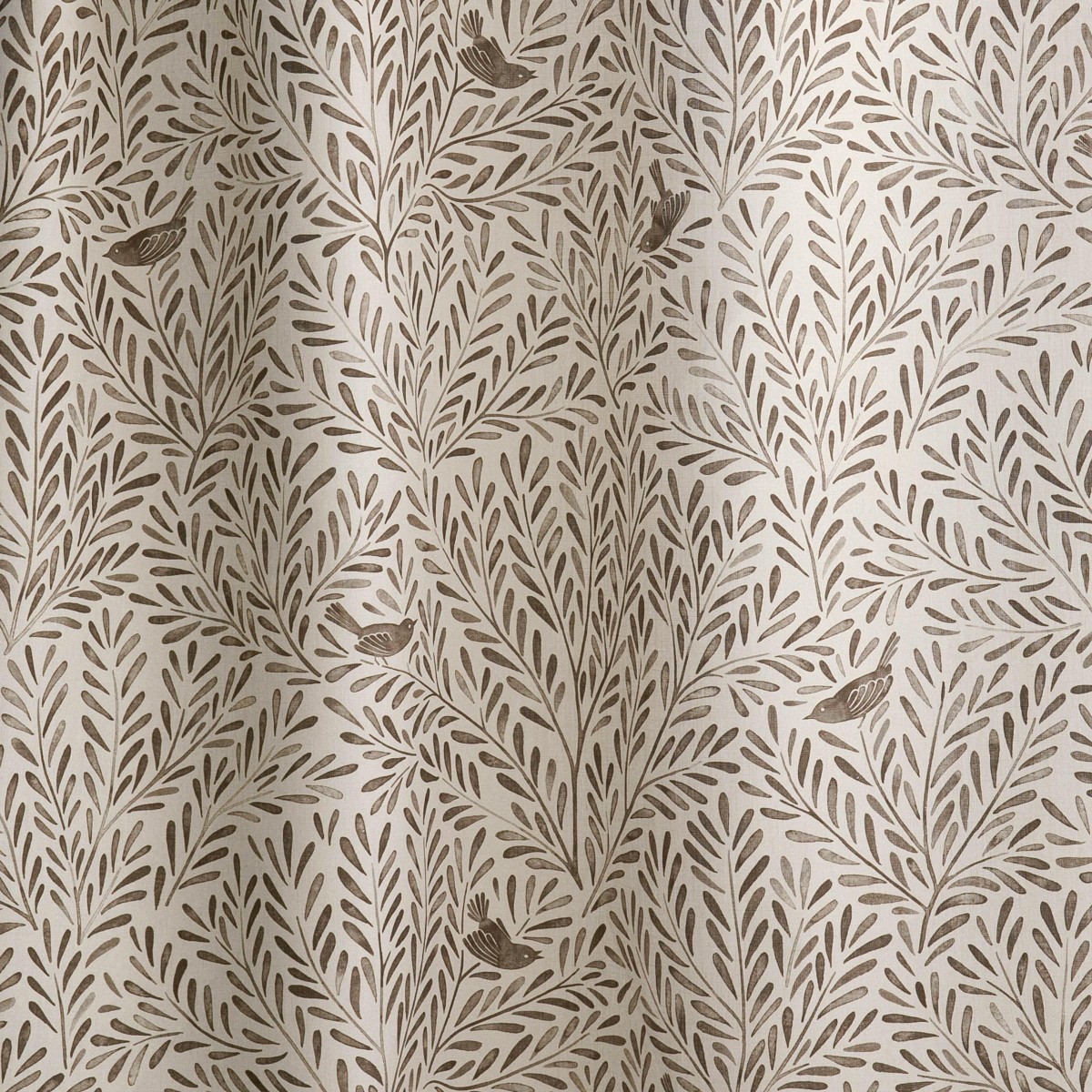 SONGBIRDS in Cassia Bark