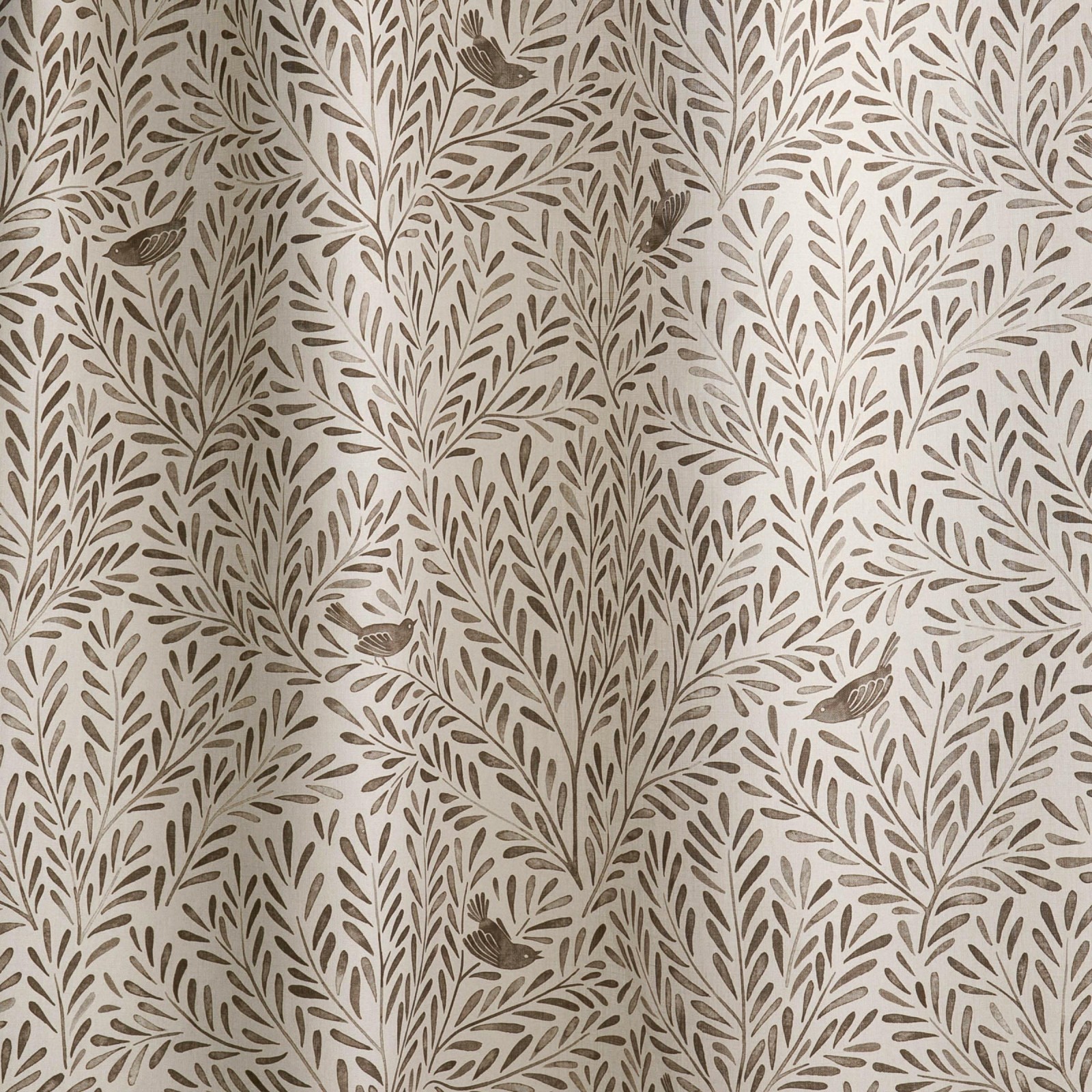 SONGBIRDS in Cassia Bark