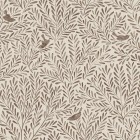 SONGBIRDS in Cassia Bark