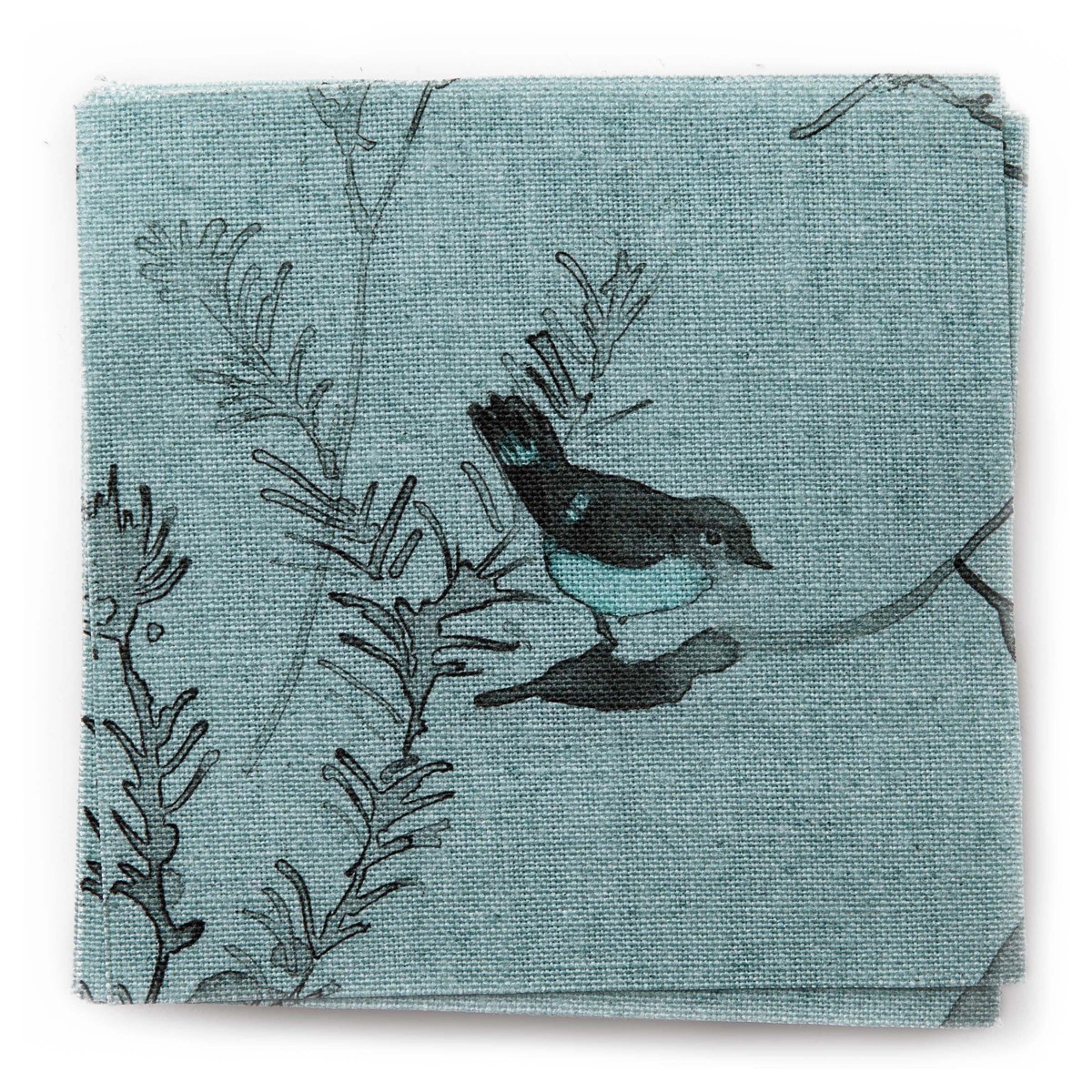 HEATH BANKSIA in Robins Egg