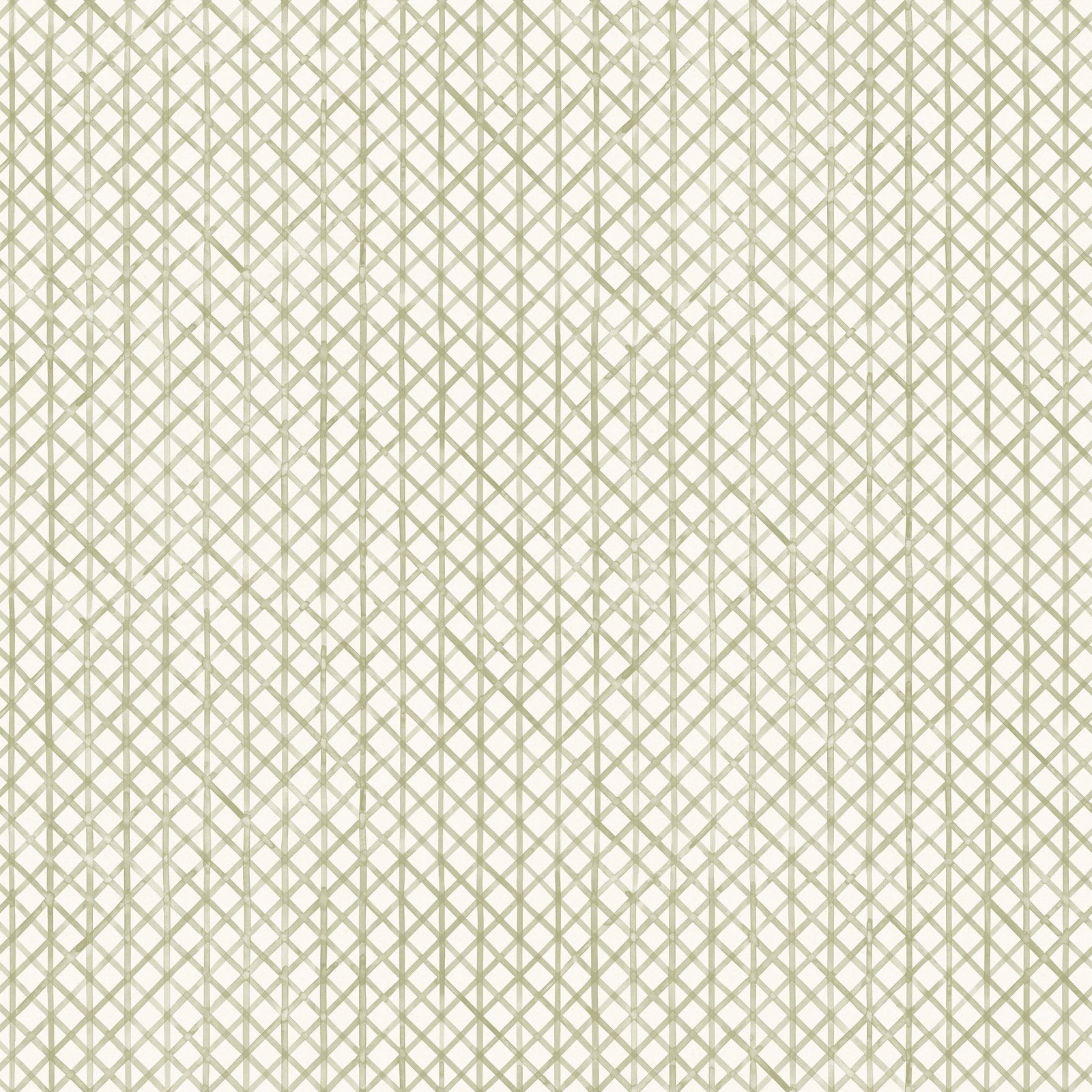 Drawing 6 in Willow