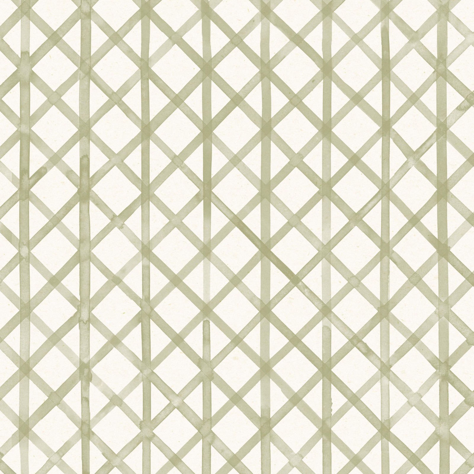 Drawing 6 in Willow