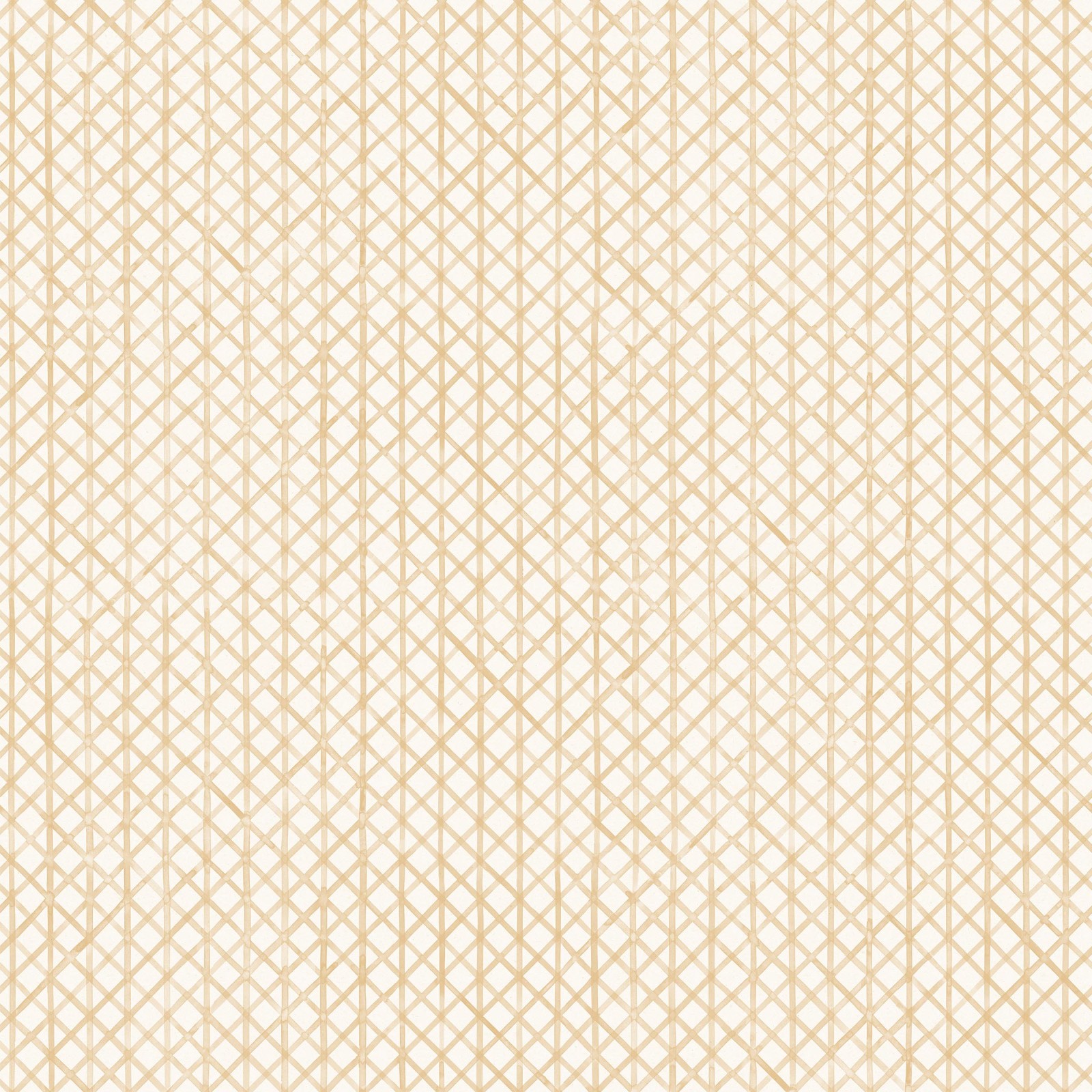 Drawing 6 in Straw