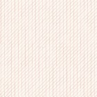 Drawing 3 in Carnation