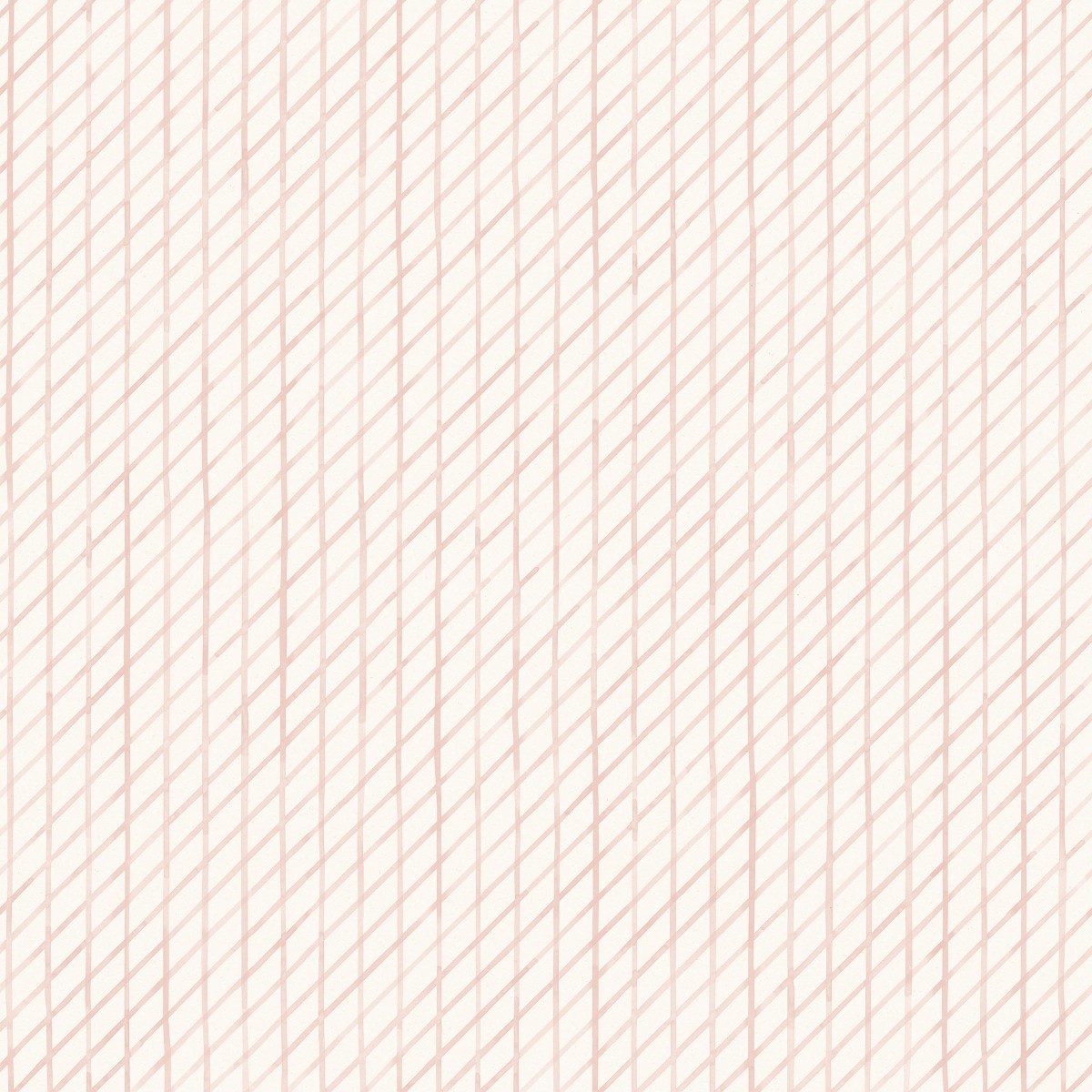 Drawing 3 in Carnation