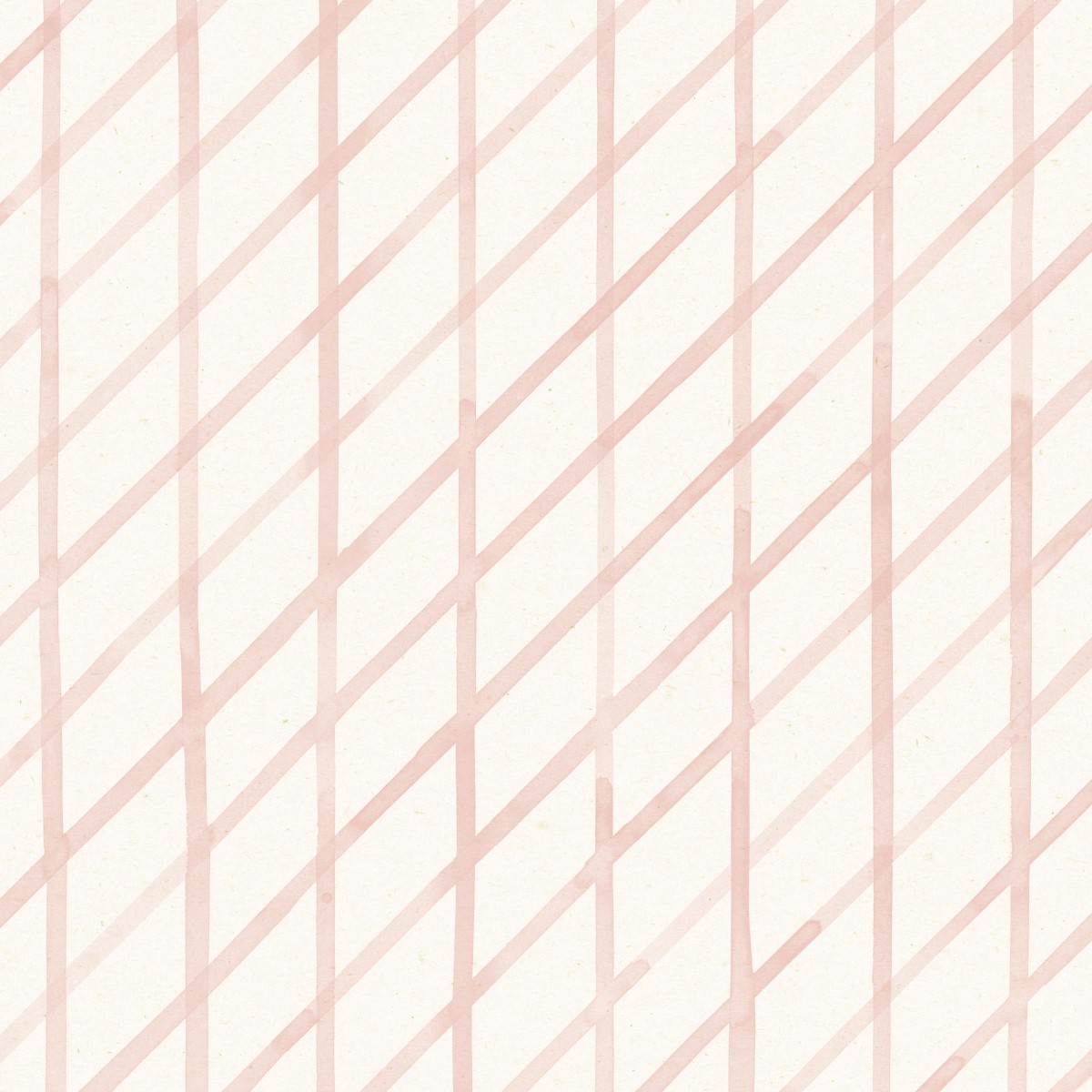 Drawing 3 in Carnation