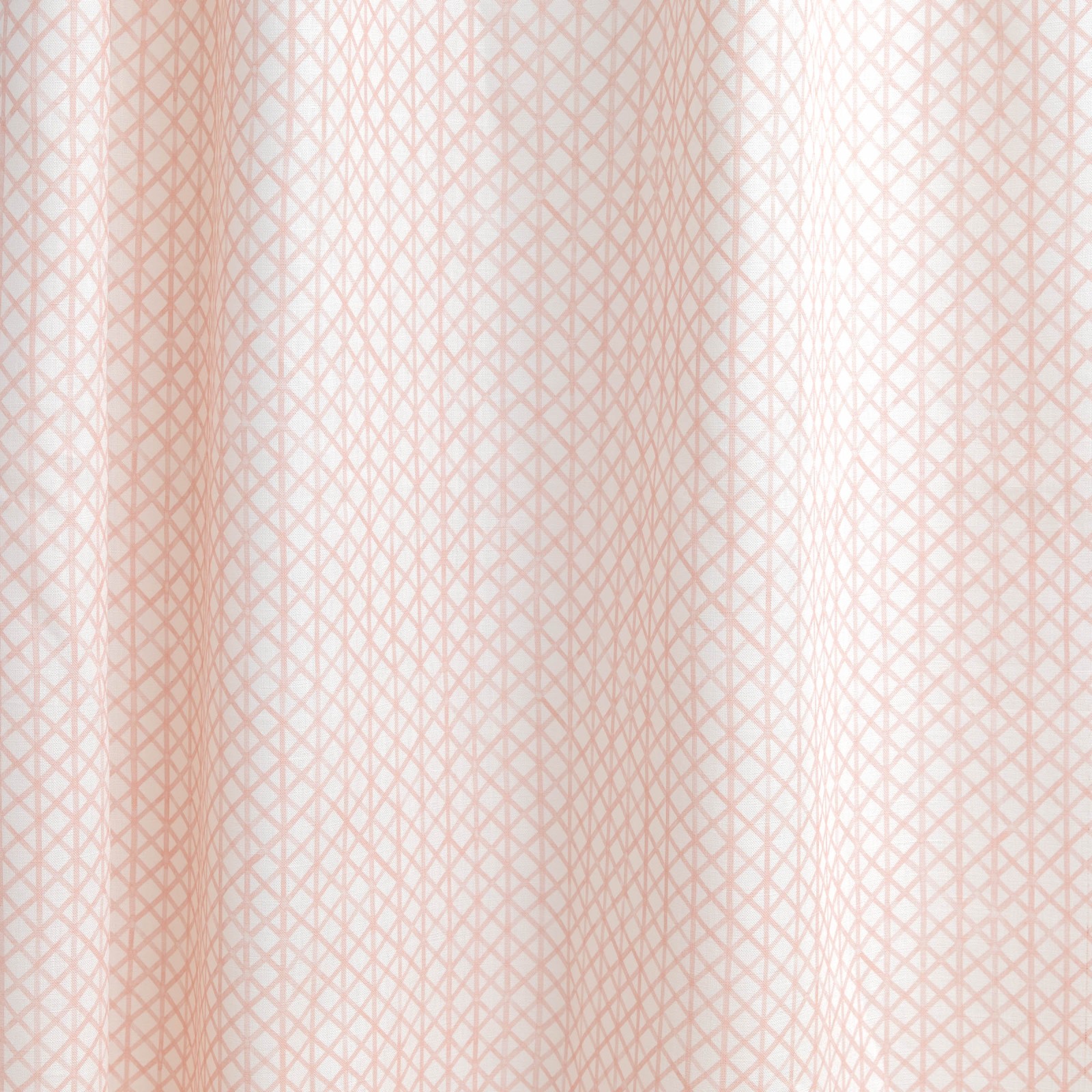 Drawing 6 in Carnation