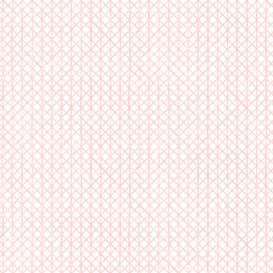 Drawing 6 in Carnation