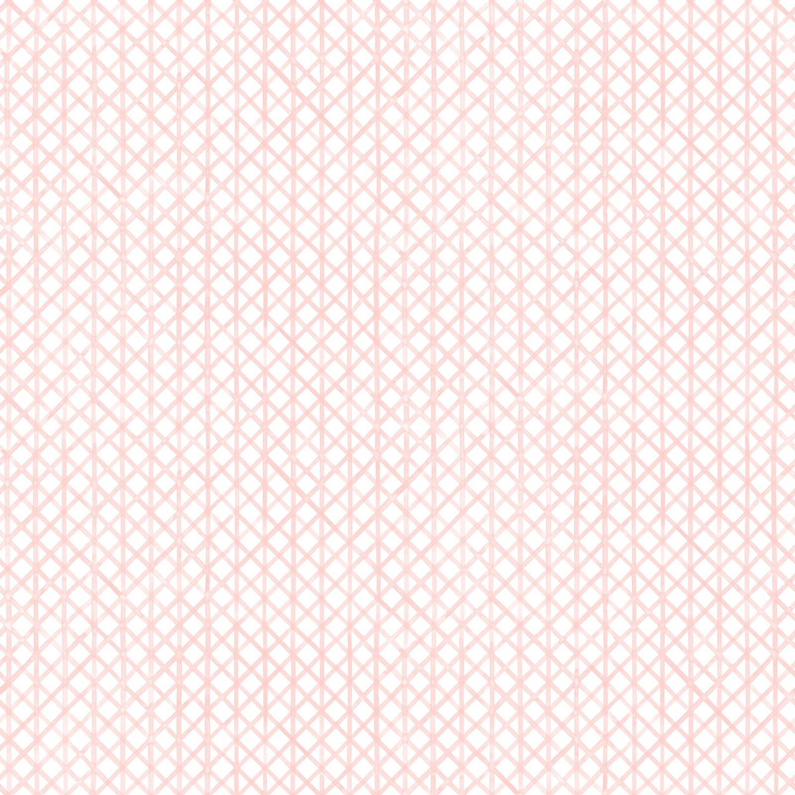 Drawing 6 in Carnation