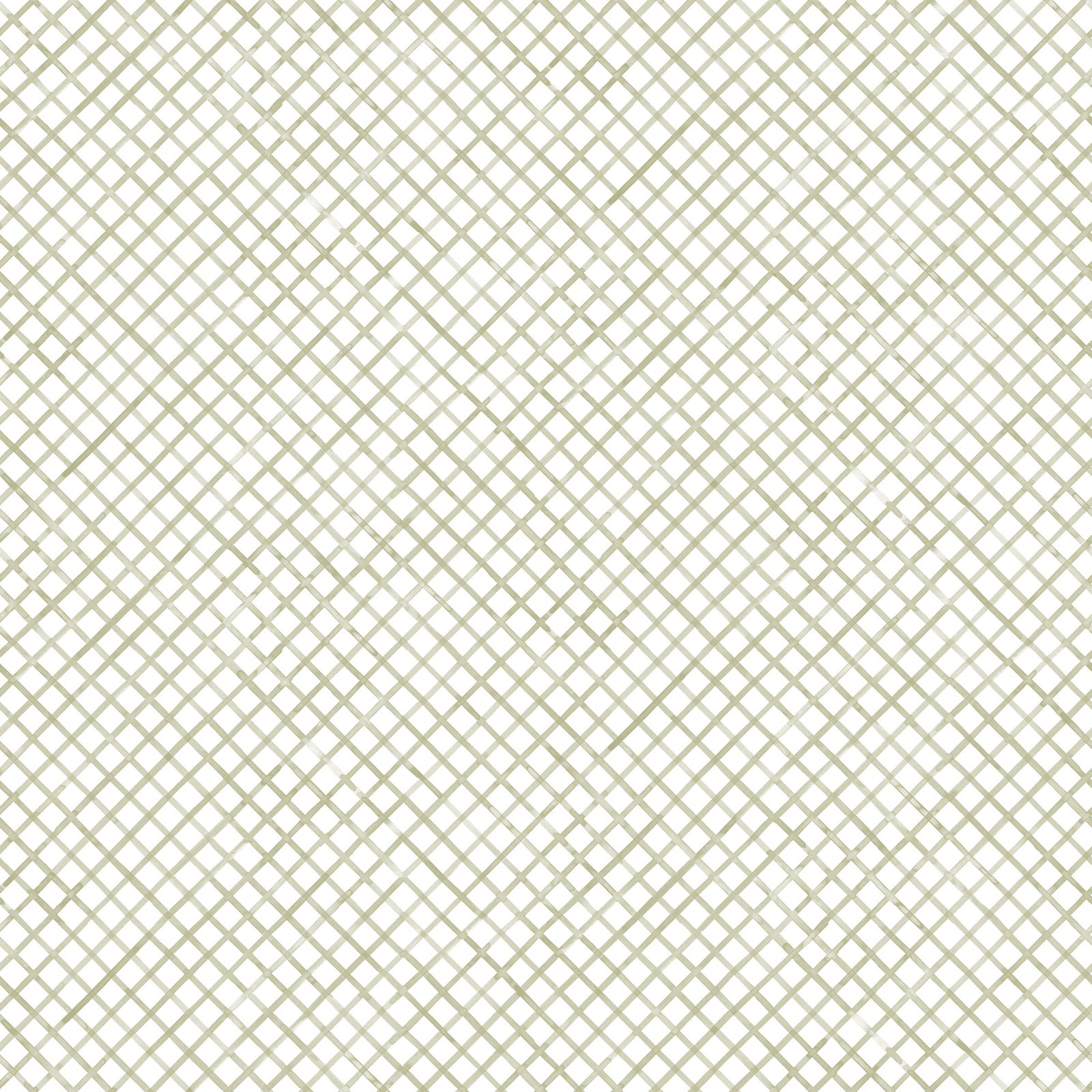 Drawing 5 in Willow