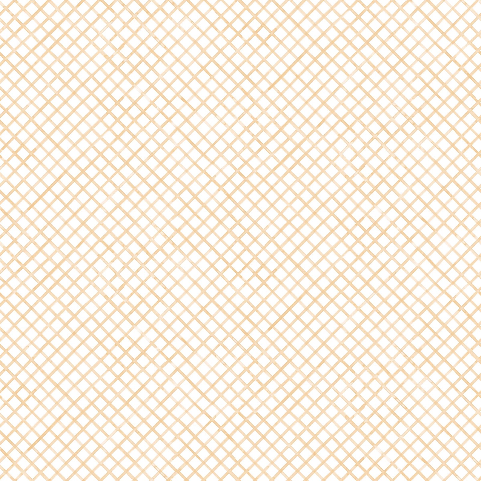 Drawing 5 in Straw