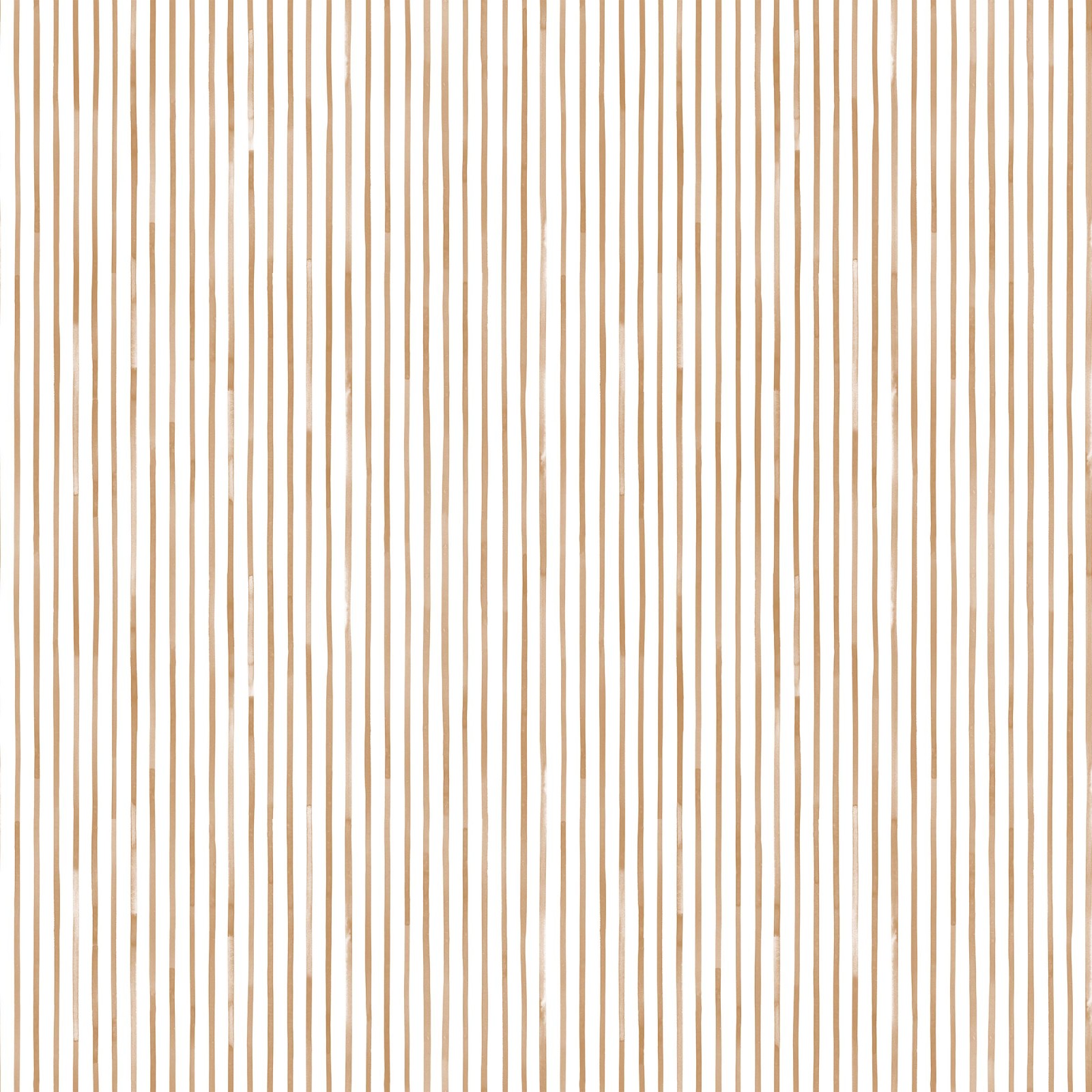 Drawing 1 in Maple