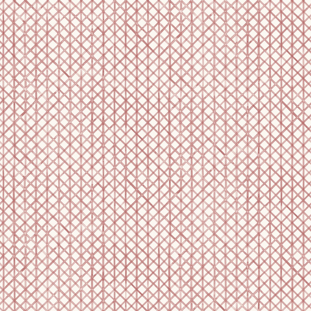 Drawing 6 in Dusty Rose