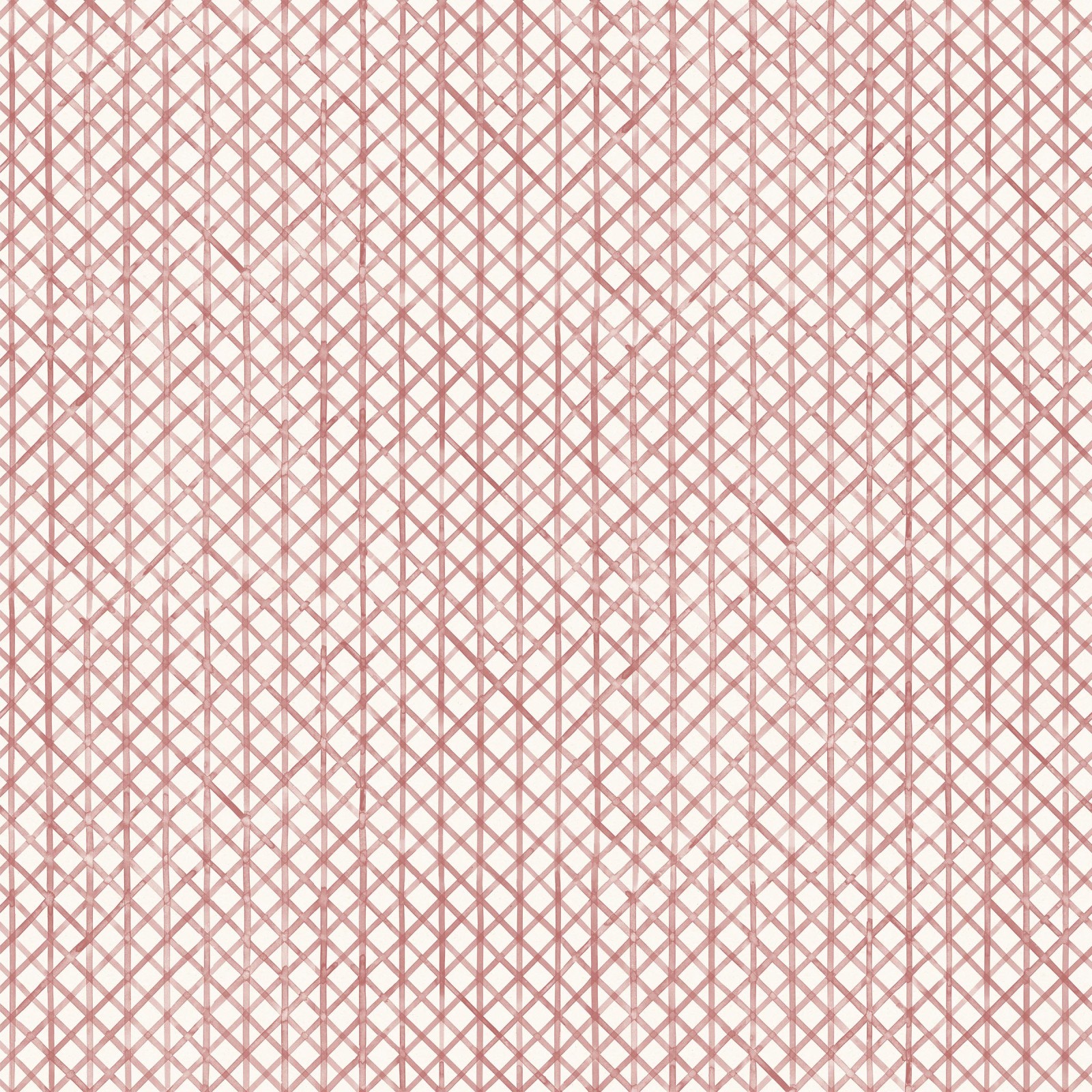 Drawing 6 in Dusty Rose
