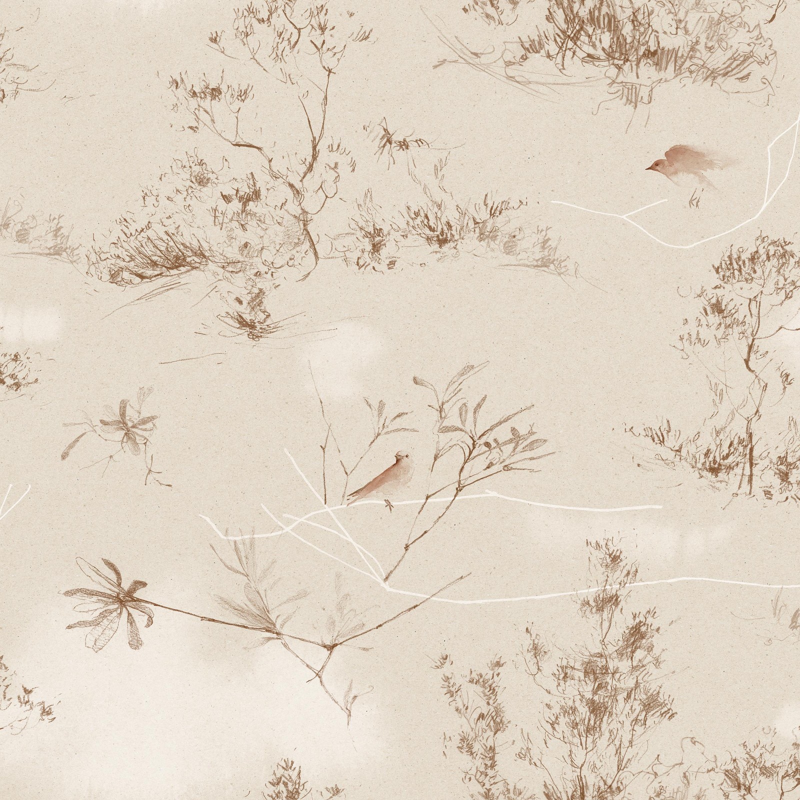 CANOPY in Warm Sand