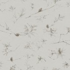 COASTAL BANKSIA in Evening Grey