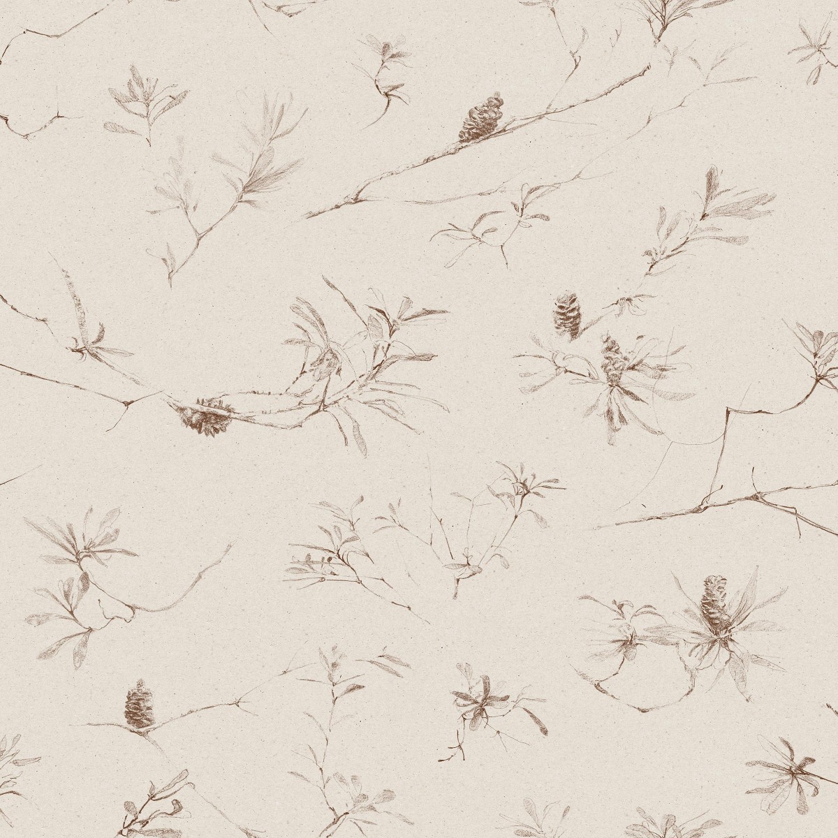 COASTAL BANKSIA in Paperbark