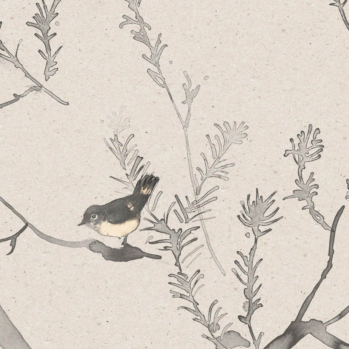 HEATH BANKSIA in Pumice