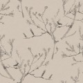 HEATH BANKSIA in Wet Clay