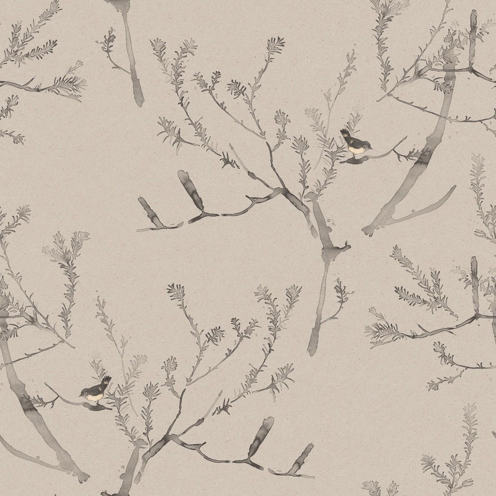 HEATH BANKSIA in Wet Clay