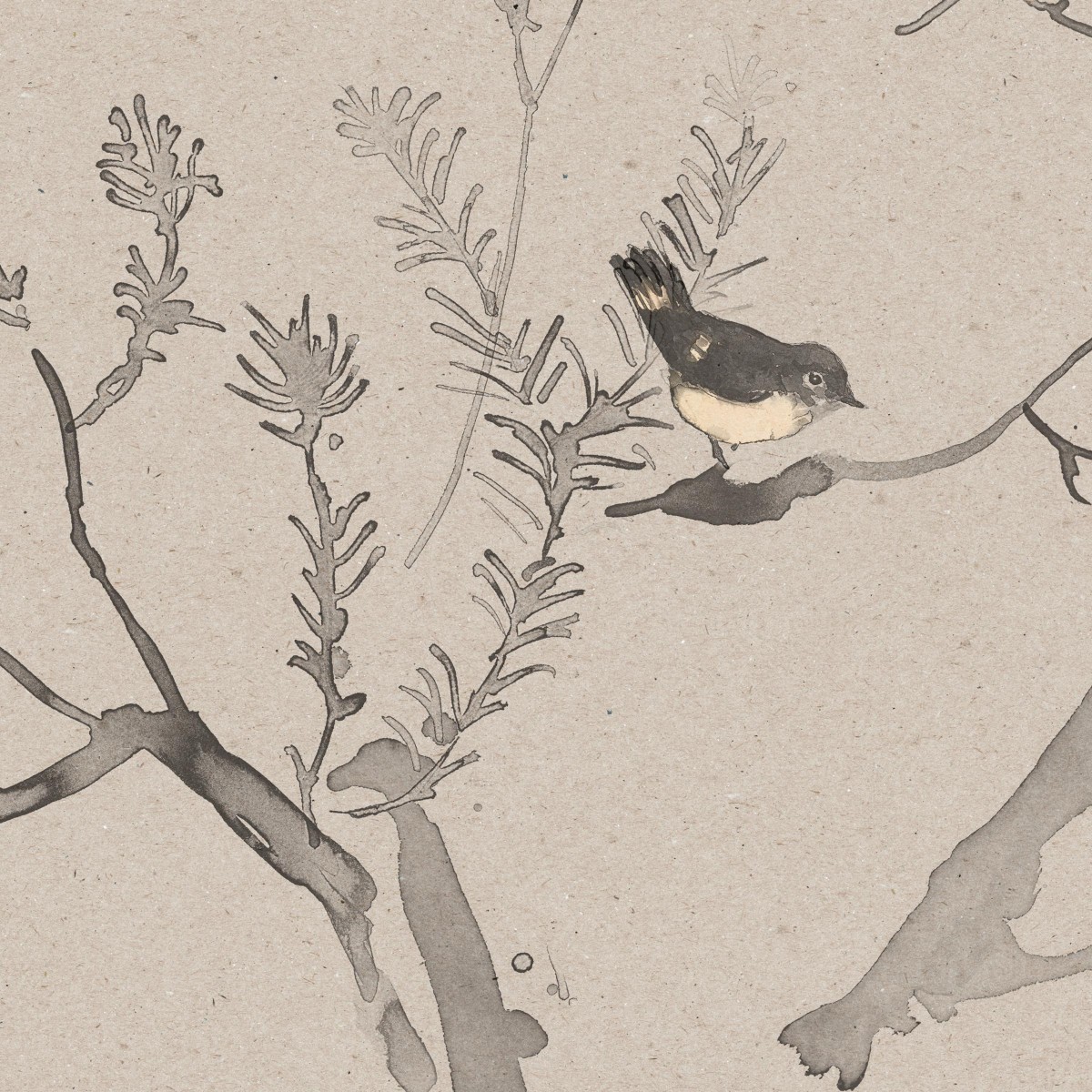 HEATH BANKSIA in Wet Clay