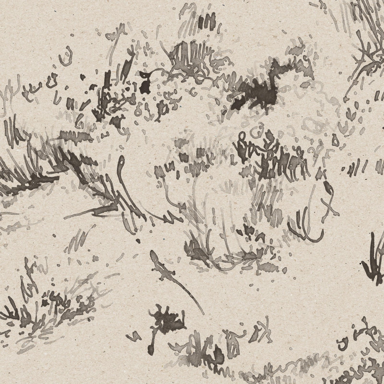 DUNES in Smoke