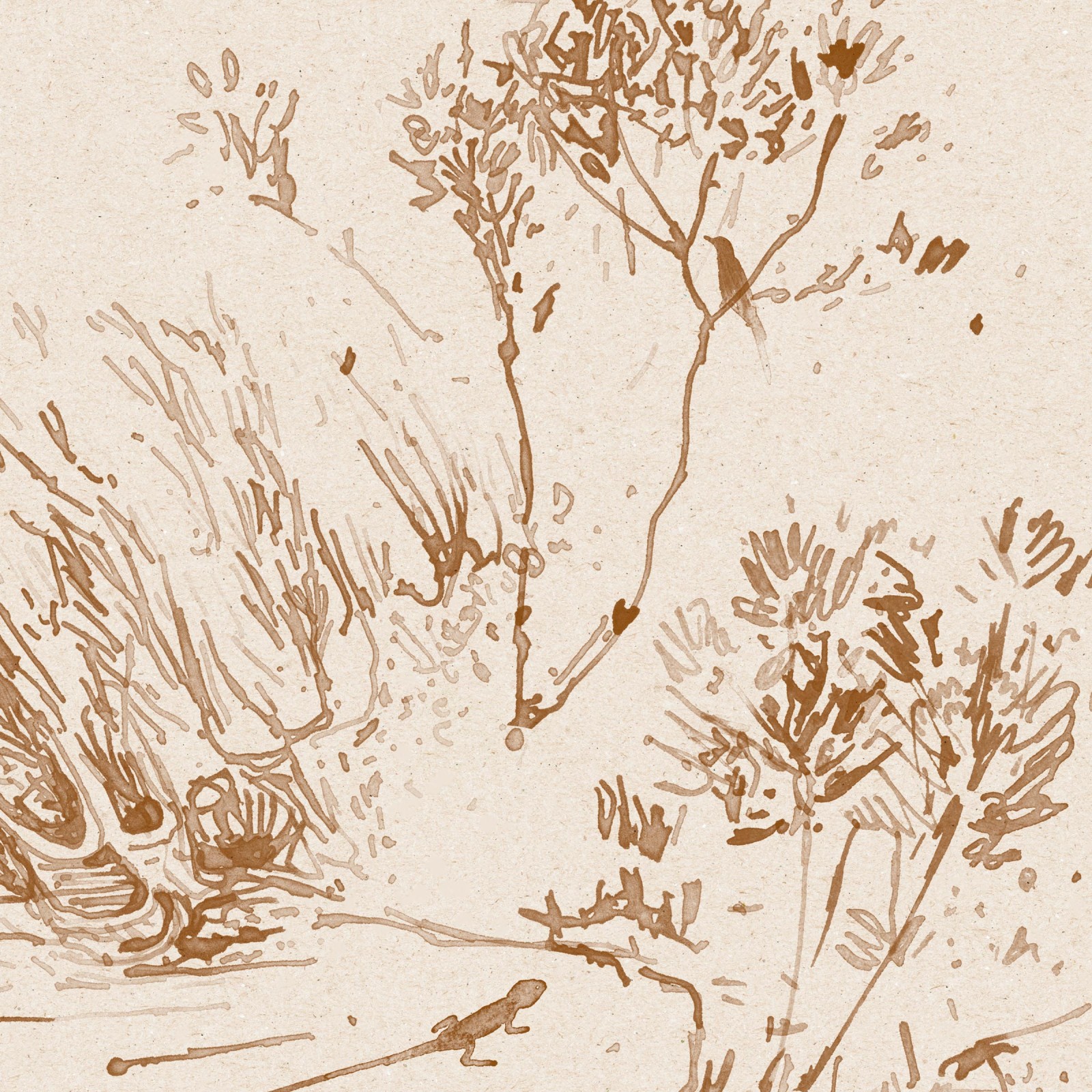 DUNES in Sienna