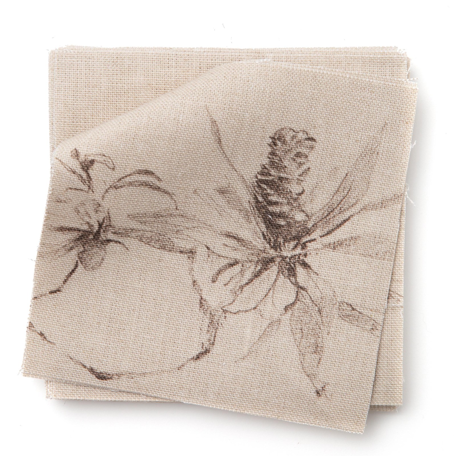 Coastal Banksia in Sepia