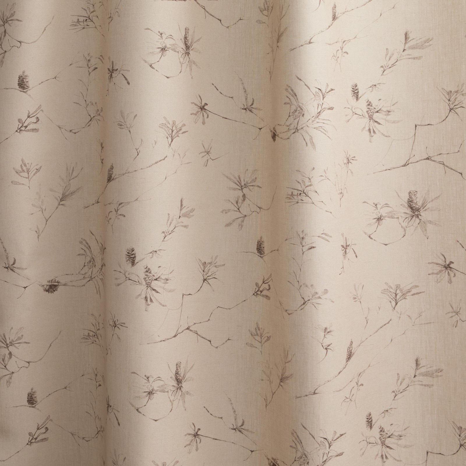 Coastal Banksia in Sepia