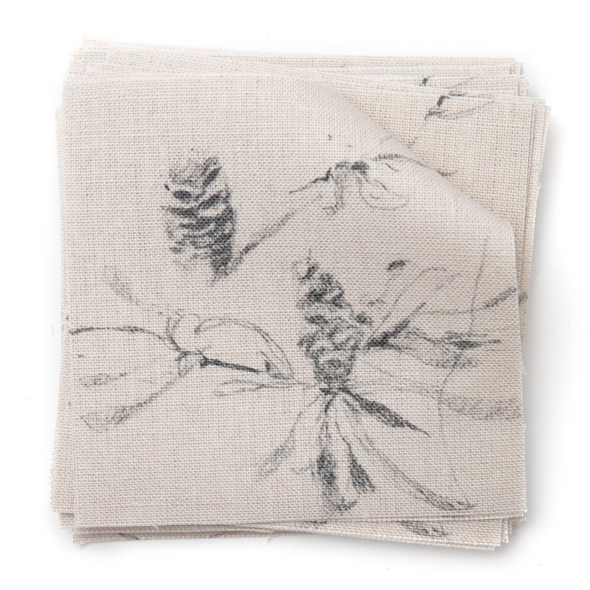 Coastal Banksia in Mineral