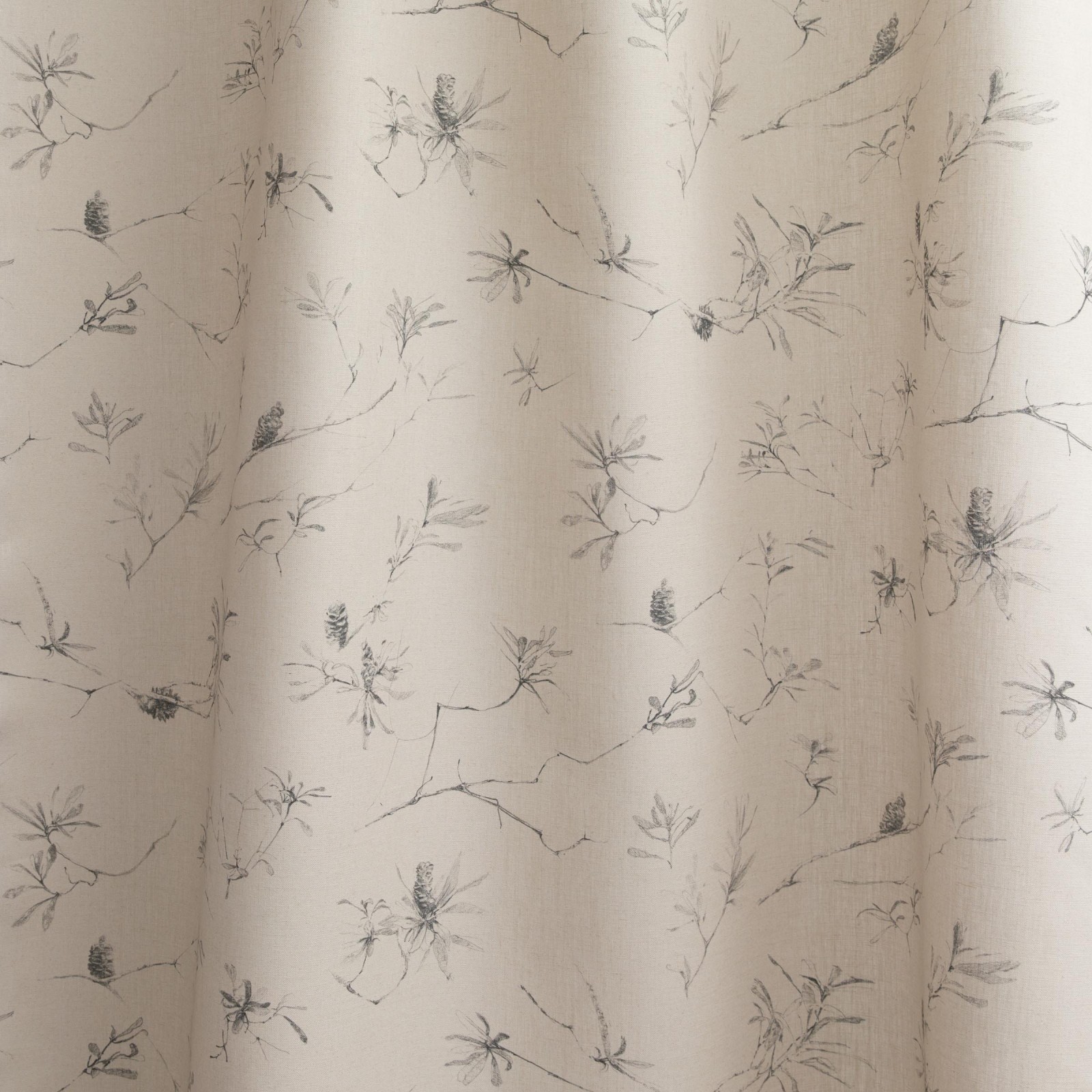 Coastal Banksia in Mineral