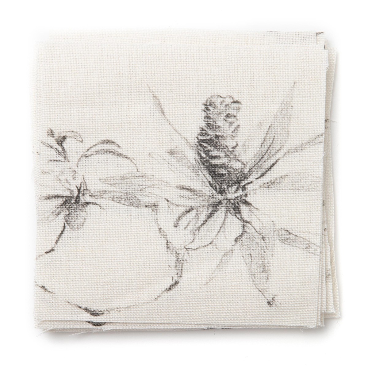 Coastal Banksia in Charcoal Sketch