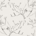 Heath Banksia in Bone